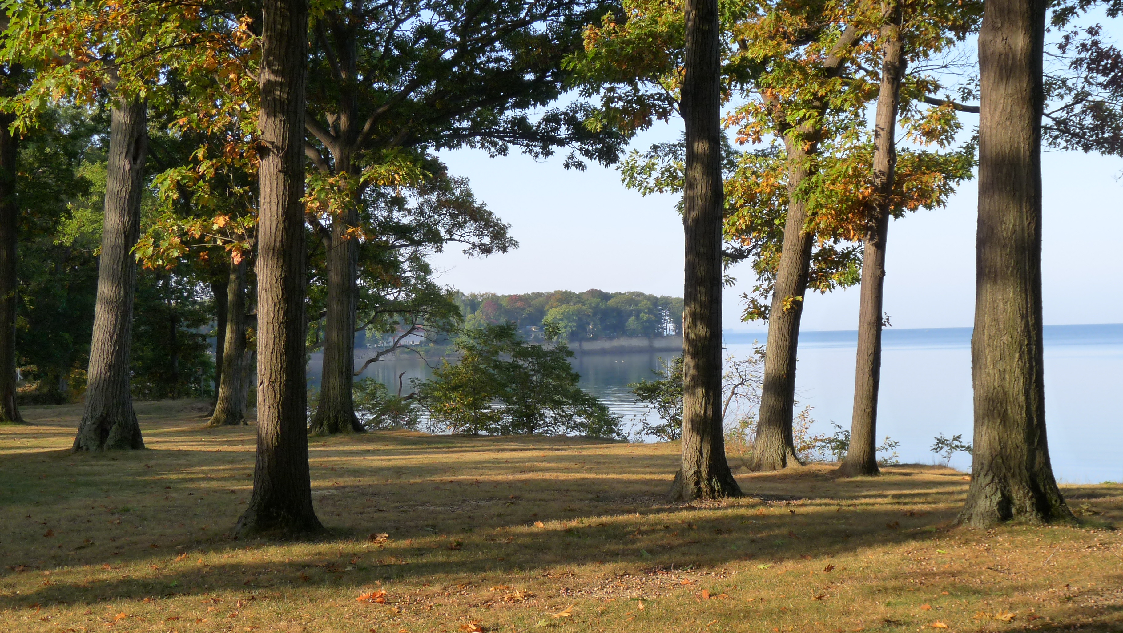 Lotus Bay - Lake Erie